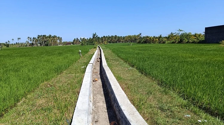 Beritabali.com