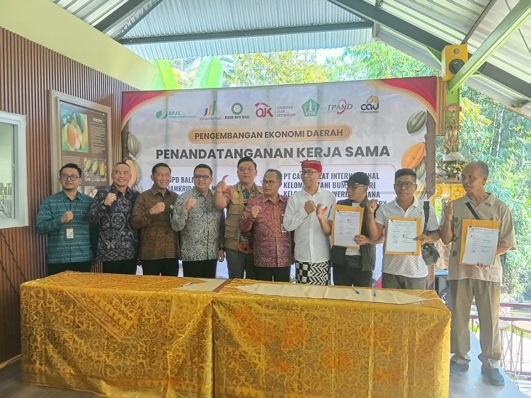 Beritabali.com