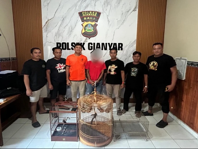 Beritabali.com