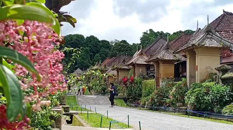 Beritabali.com