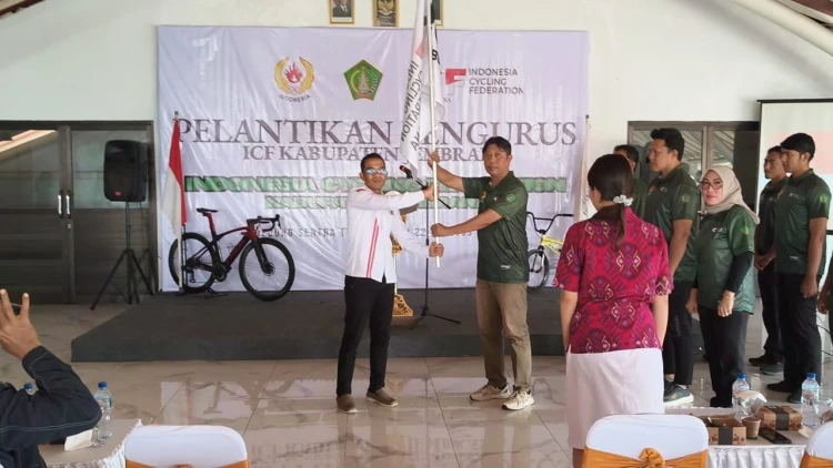 Beritabali.com