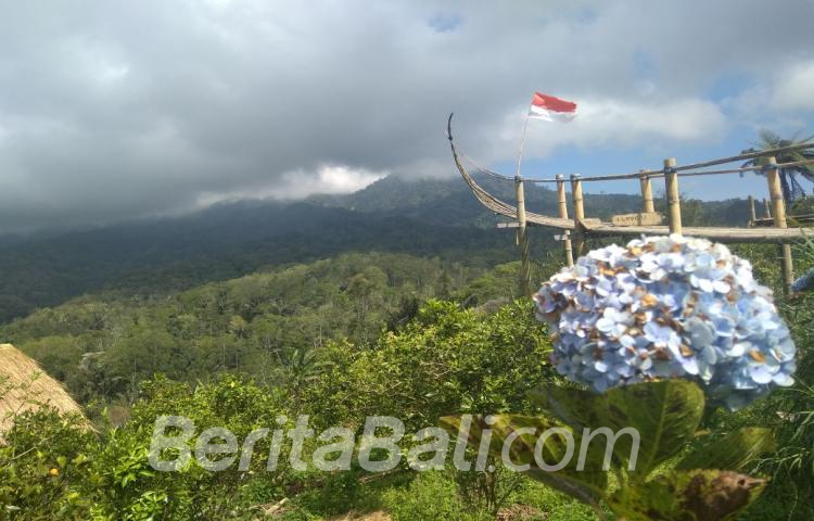 Beritabali.com
