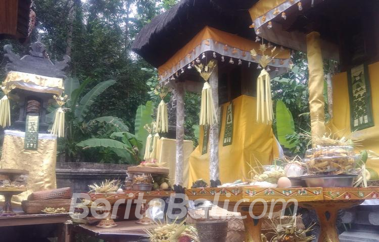Beritabali.com