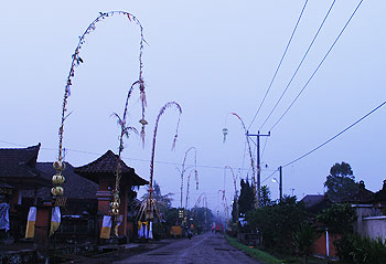 Beritabali.com