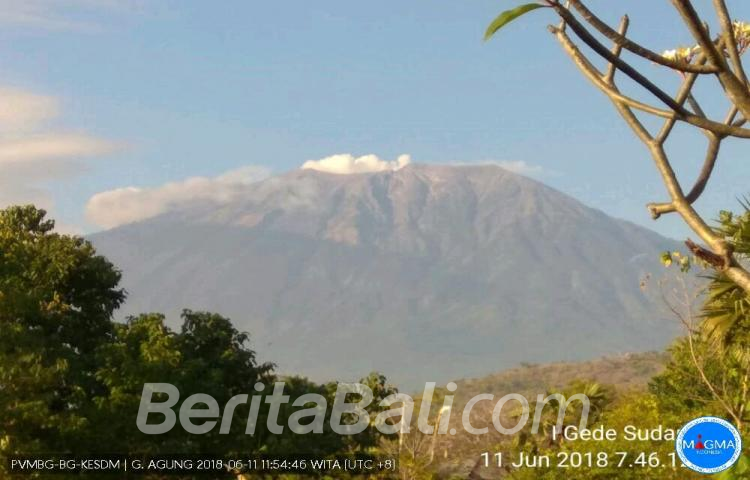 Beritabali.com