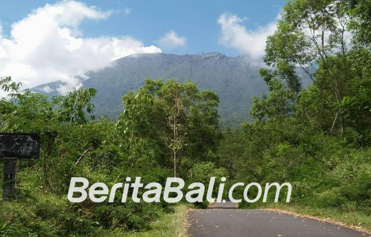 Beritabali.com
