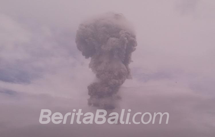 Beritabali.com
