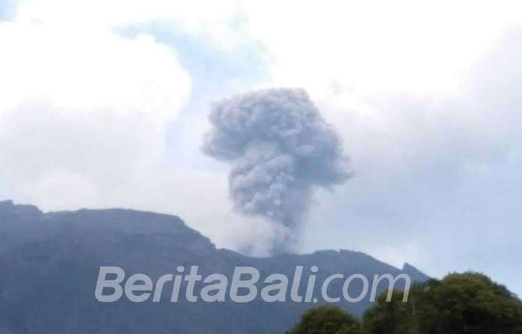Beritabali.com