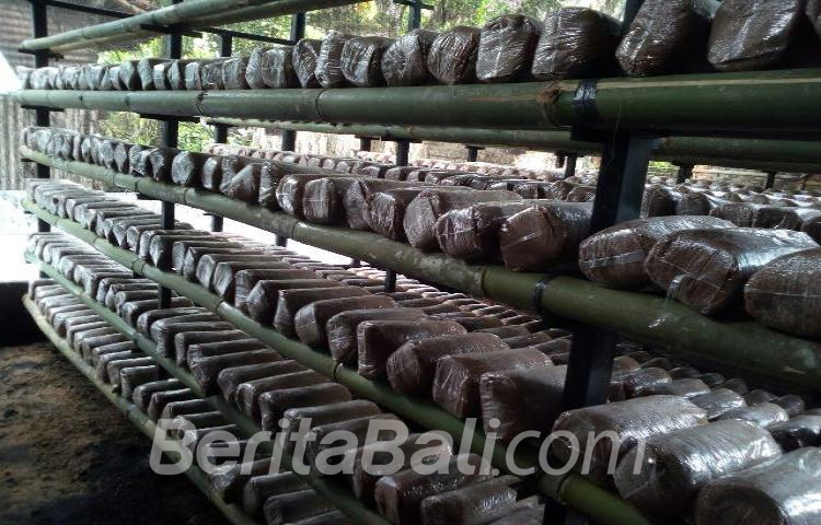 Beritabali.com