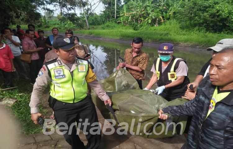 Beritabali.com
